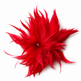 Rote Federbrosche mit Swarovski Stein – Herta Margarethe Habsburg Collection